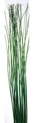 Mazzo Mimbre legato verde chiaro