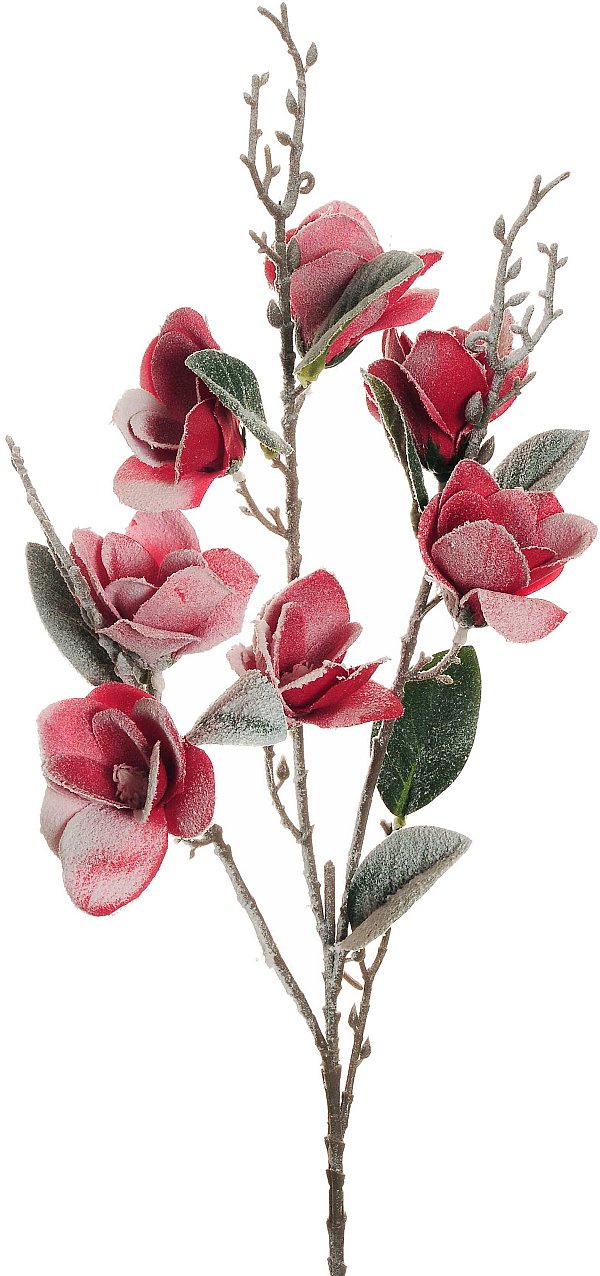 Tralcio con 7 Magnolie Rosse Innevate