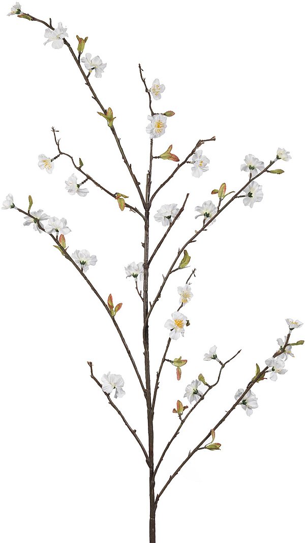Rami Fiori di Pesco Bianco
