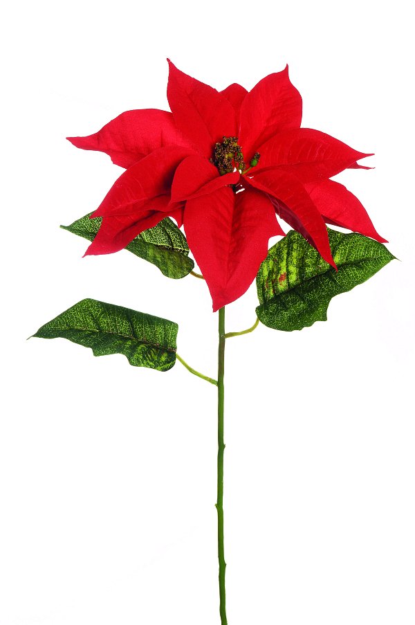 Ramo Stella di Natale Velvet Rosso con 3 Foglie