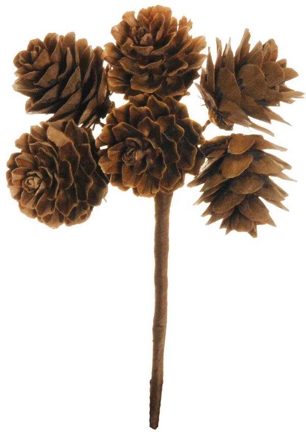 Mazzolini con 6 Pigne Naturali