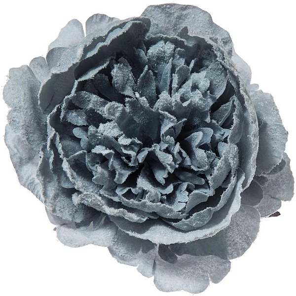 Pick Peonie Innevate Blu