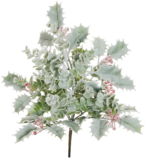 Bush Agrifoglio ed Eucalipto Innevato