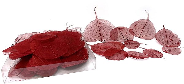 Foglie Skeleton Bayan Rosse