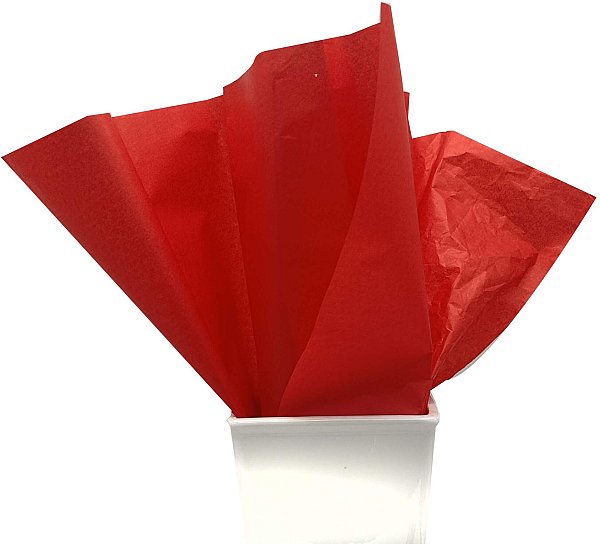 24 Fogli Carta Velina Colorata