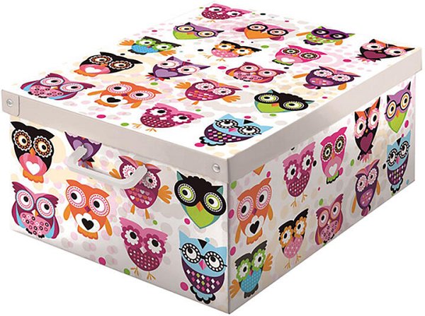 Box Armadio Cartone Verniciato Gufetti