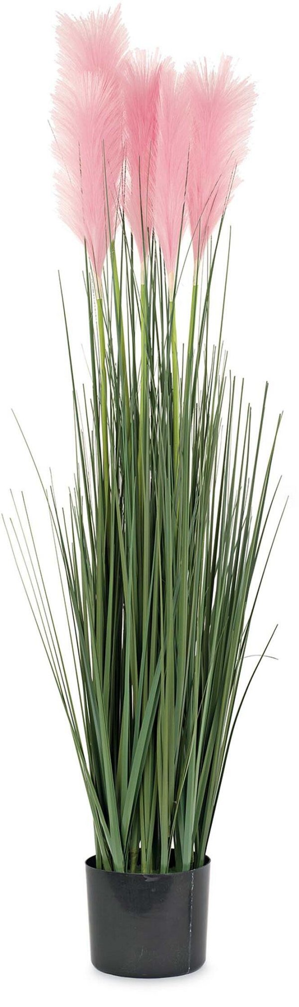 Vaso Pampas Rosa
