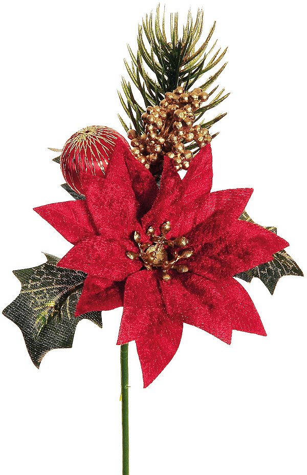 Pick Poinsettia Satin Rosso con Sfera, Berry Oro e Pino