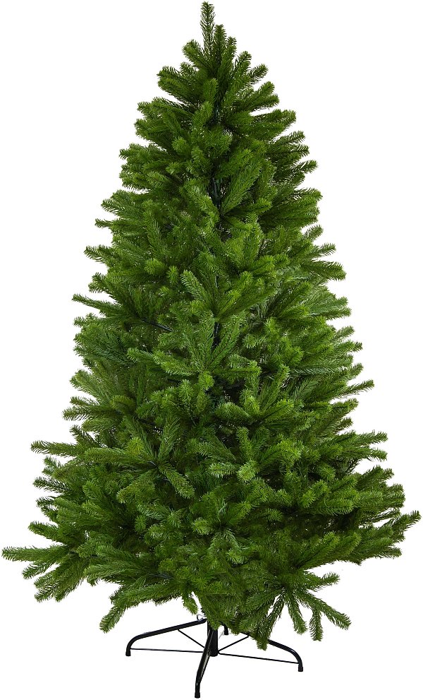 Abete Monte Korab verde