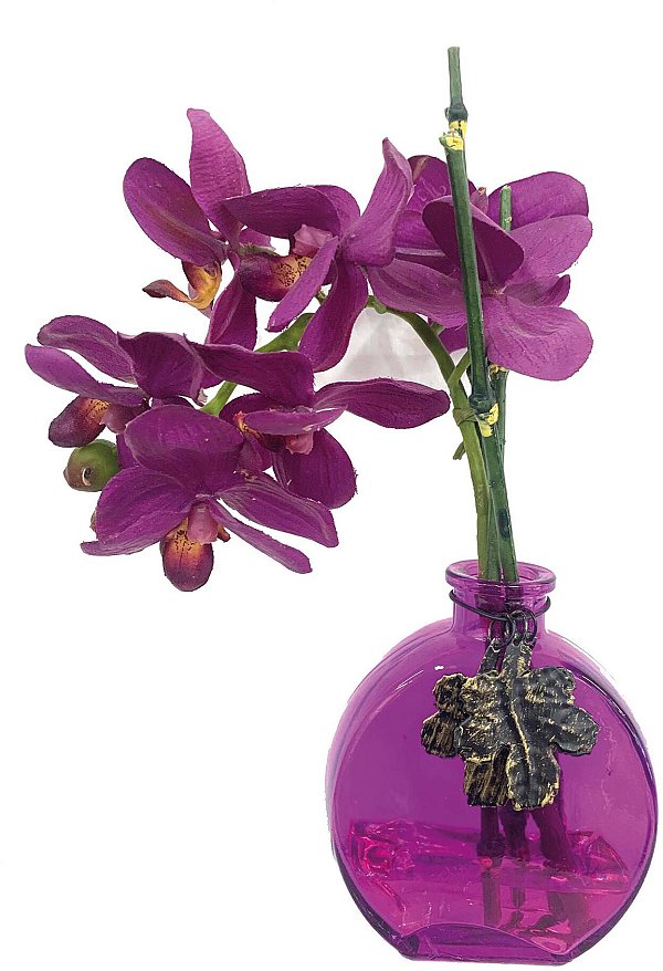 Orchidea Viola in Vaso di Vetro Viola