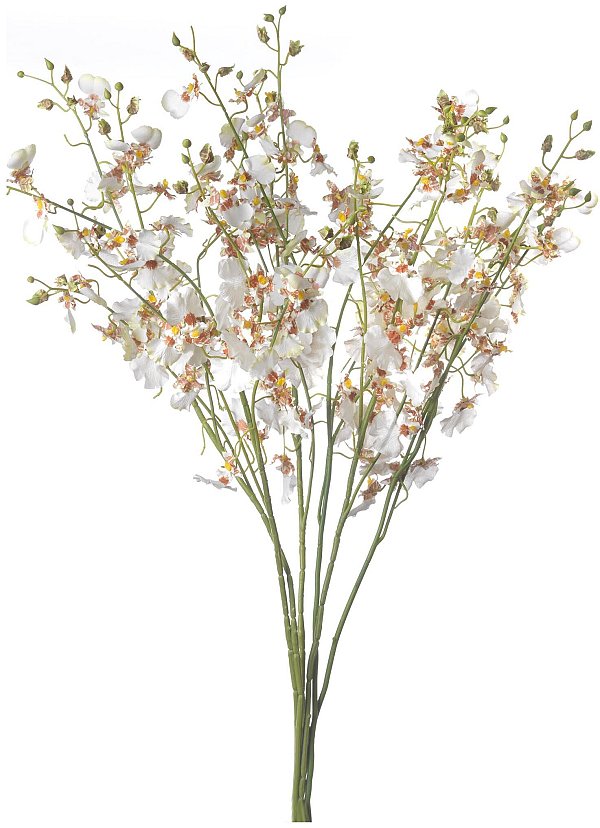 Rami Orchidea Avorio