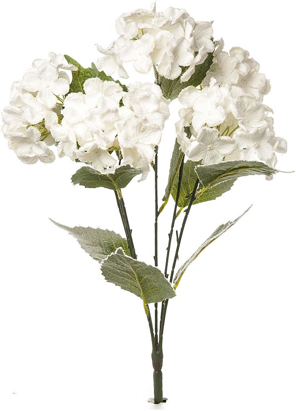 Bush 6 ortensie bianche innevate