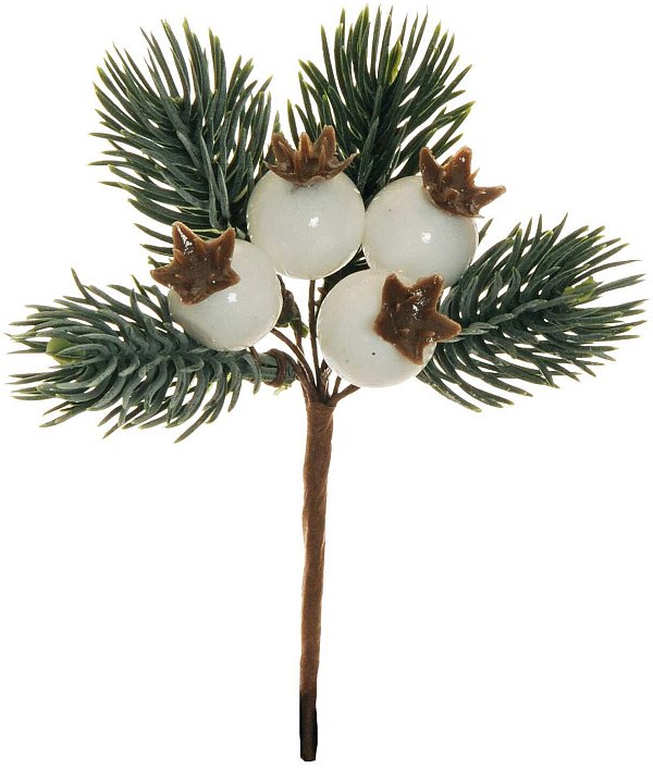 Pick Rosa Canina Bianca con Pino