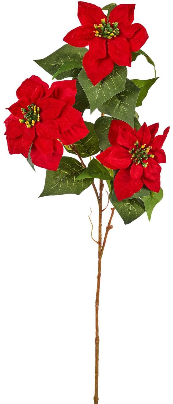 Ramo con 3 Stelle di Natale Rosso Velvet e Foglie Verdi