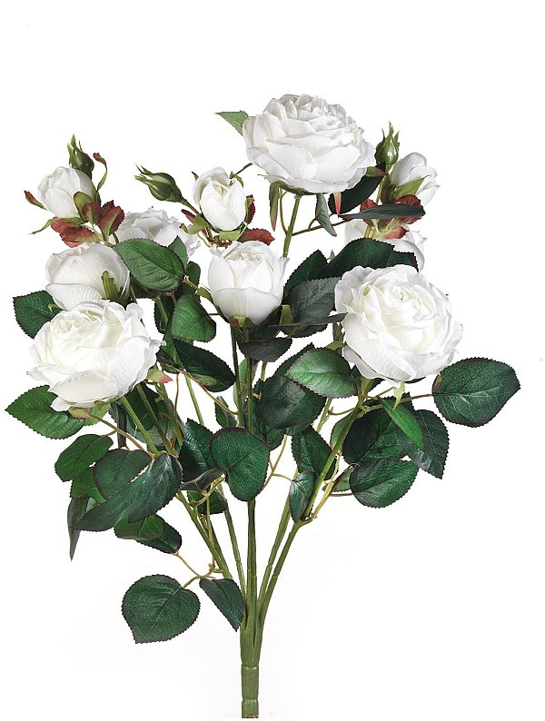 Bush 10 Rami Rosapeonia Chic Bianco