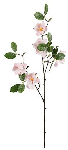 Ramo di Magnolia con 5 Fiori