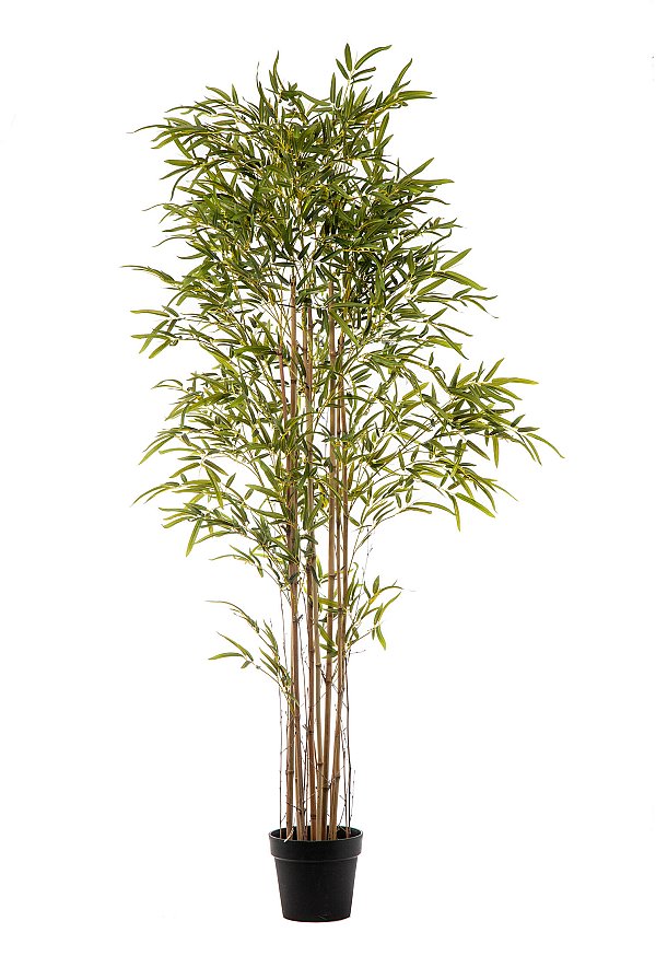 Pianta Bamboo Verde in Vaso Real Touch