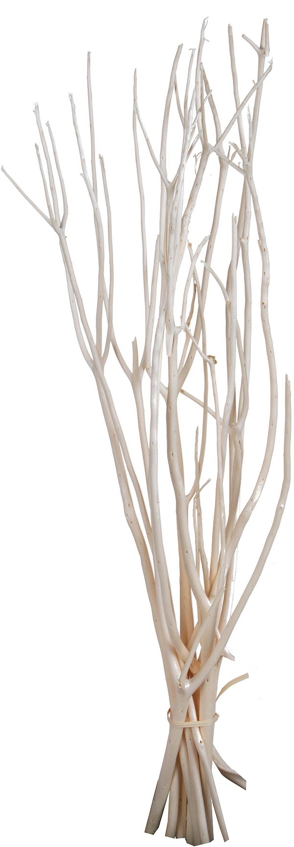 Rami Mitsumata naturale