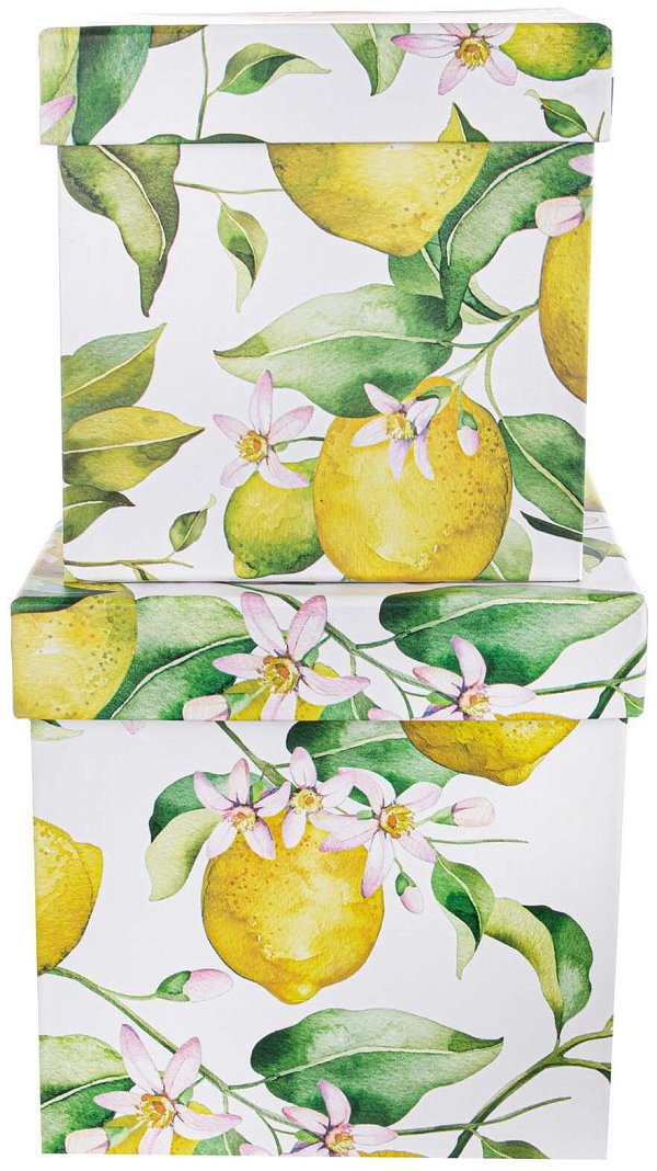 Set Scatole Fasciate Quadrate Limoni