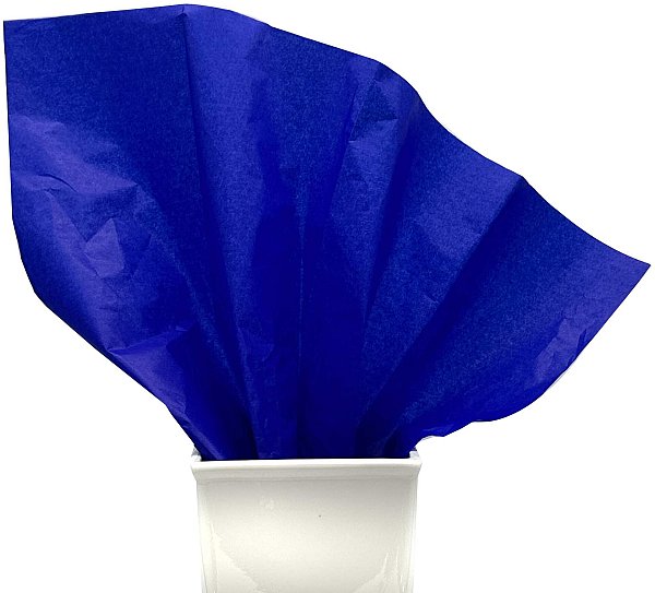 24 Fogli Carta Velina Colorata