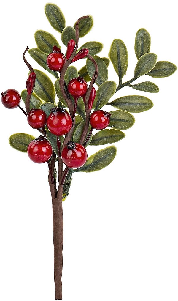 Pick Vischio Rosso