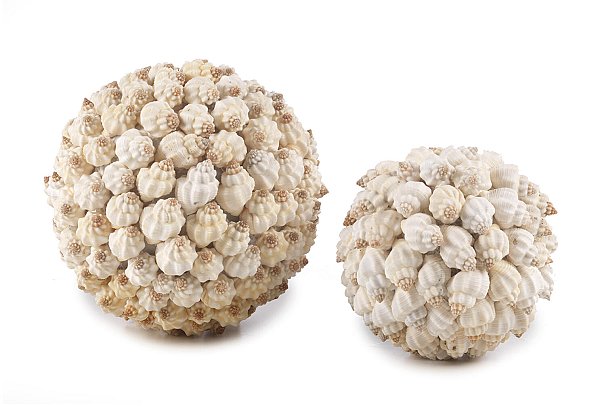 Sfera Conchiglie Bianche