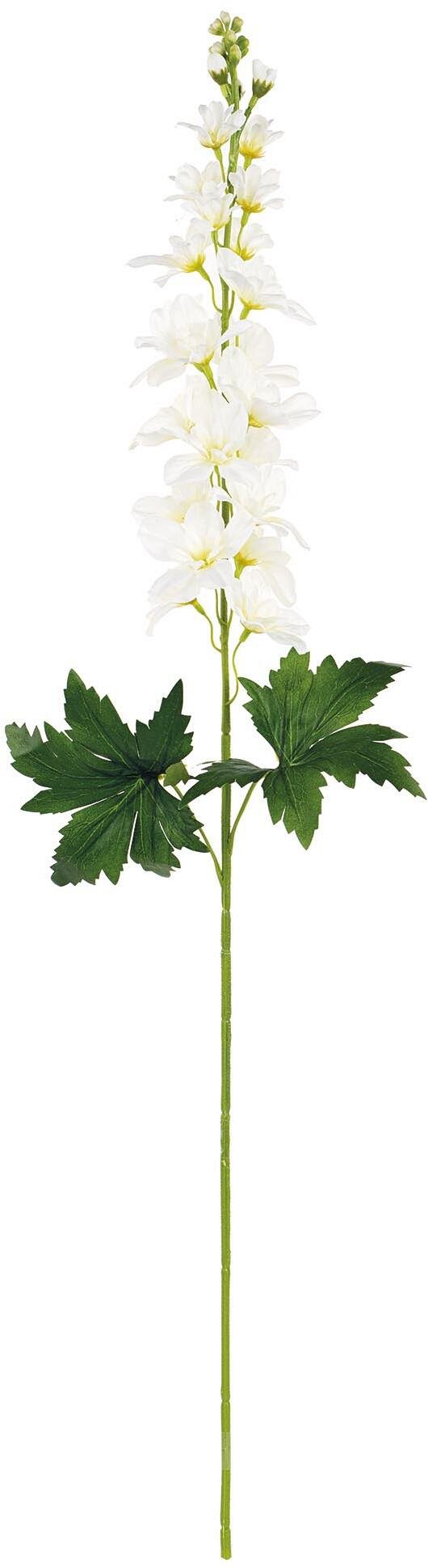 Ramo Delphinium