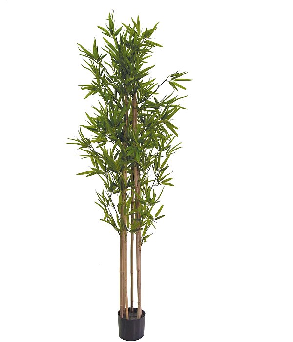 Pianta Artificiale Bamboo Verde