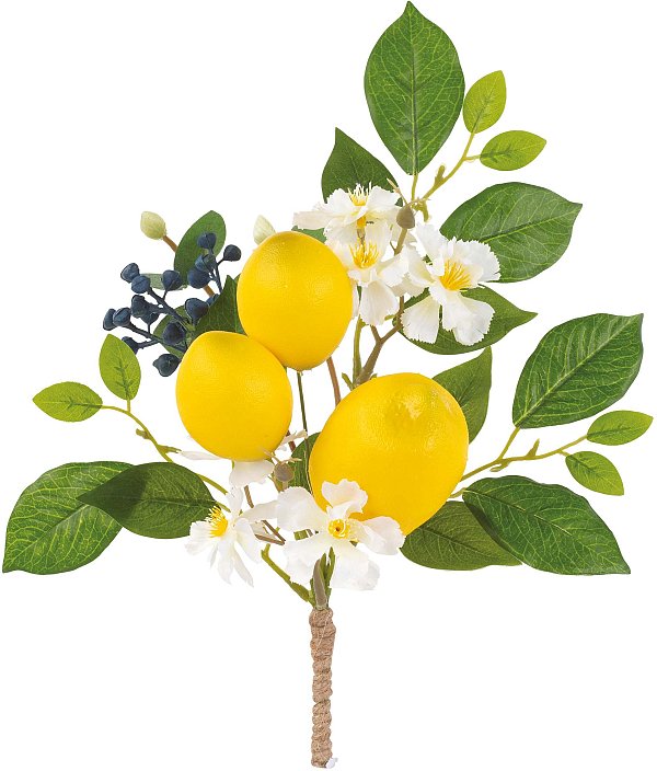 Set Rametti con 3 Limoni, Fiori e Foglie