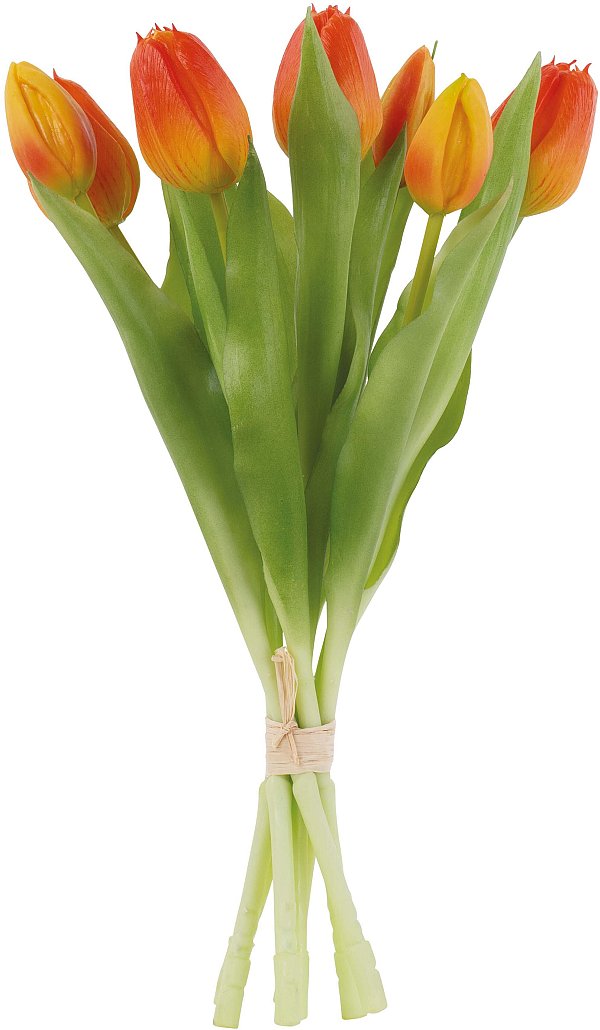 Bundle 7 Tulipani Real Touch