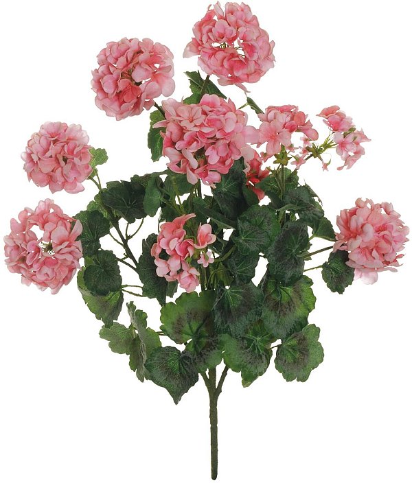 Bush 5 Rami Geranio Velvet