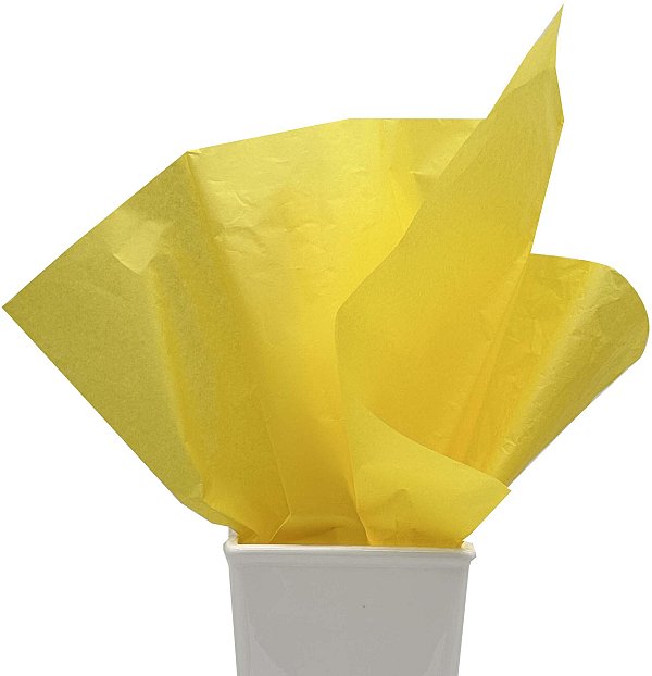 24 Fogli Carta Velina Colorata
