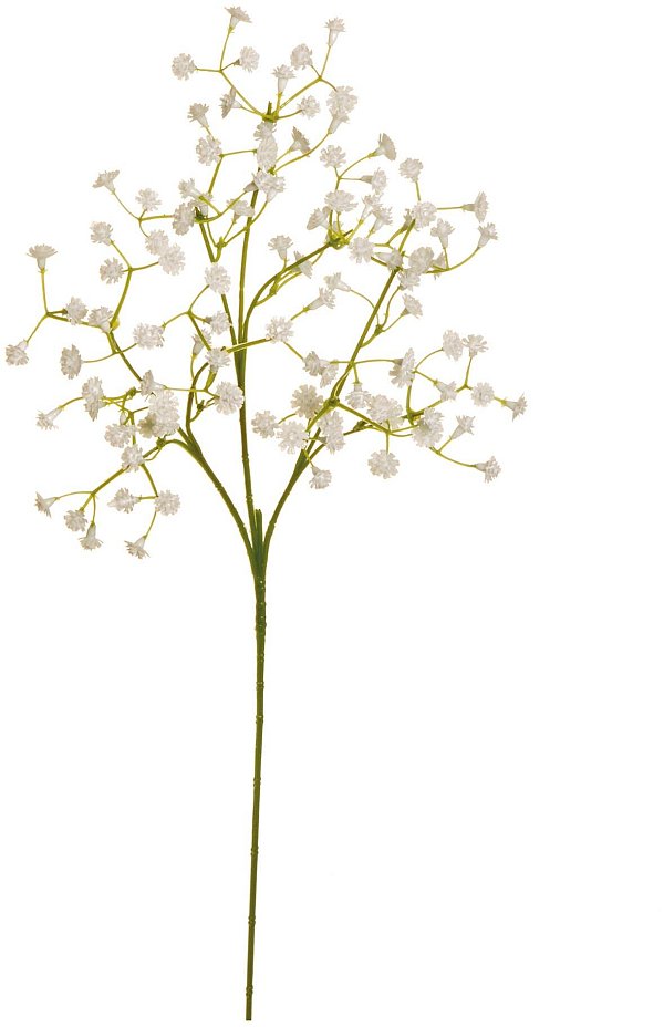 Rami Gypsophila con 108 Fiori Bianchi