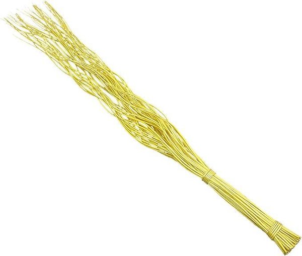 Rami Salix giallo