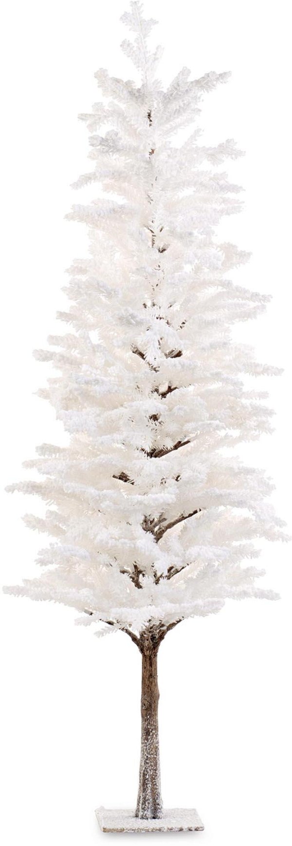 Albero Bianco