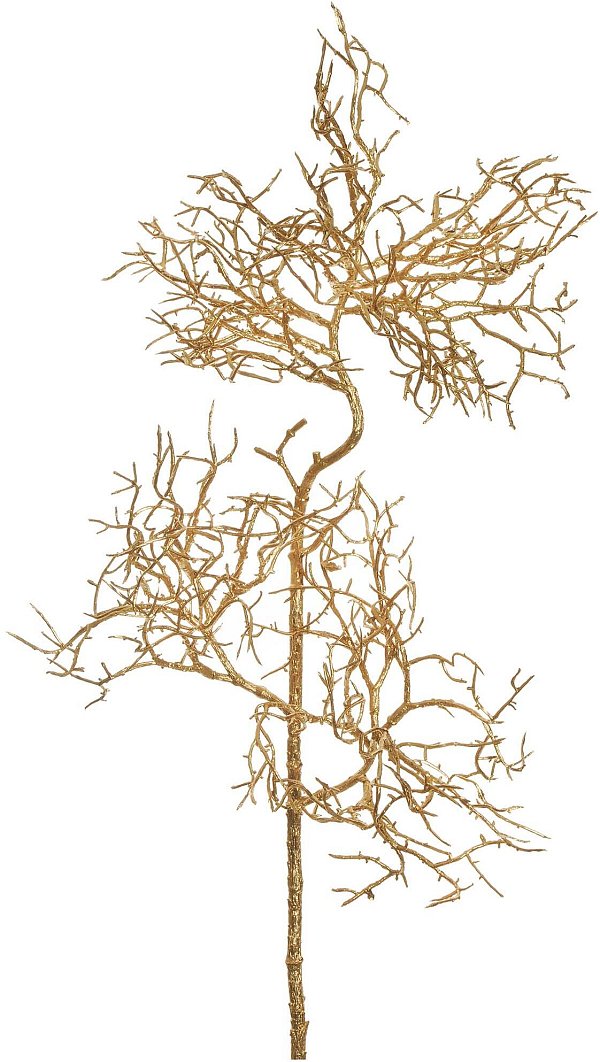 Ramo di Manzanita Dorata