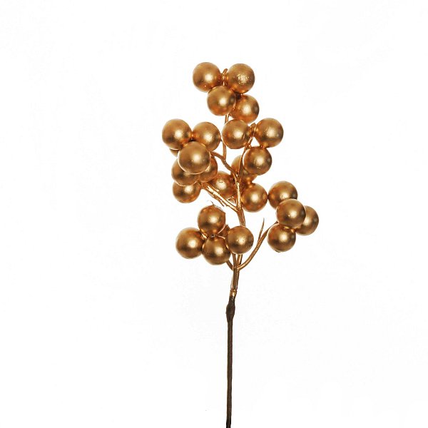 Pick ilex berries gold