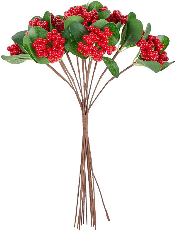 Bundle con 12 Rametti di Bacche Rosse