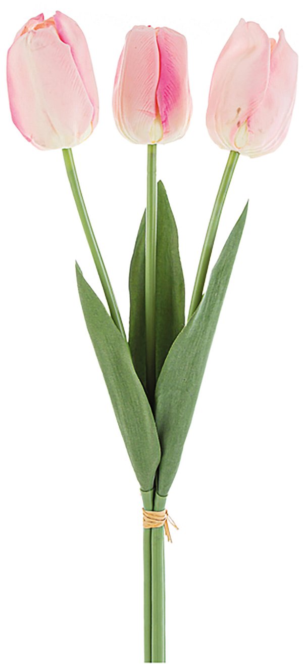 Bundle 3 Tulipani Real Touch