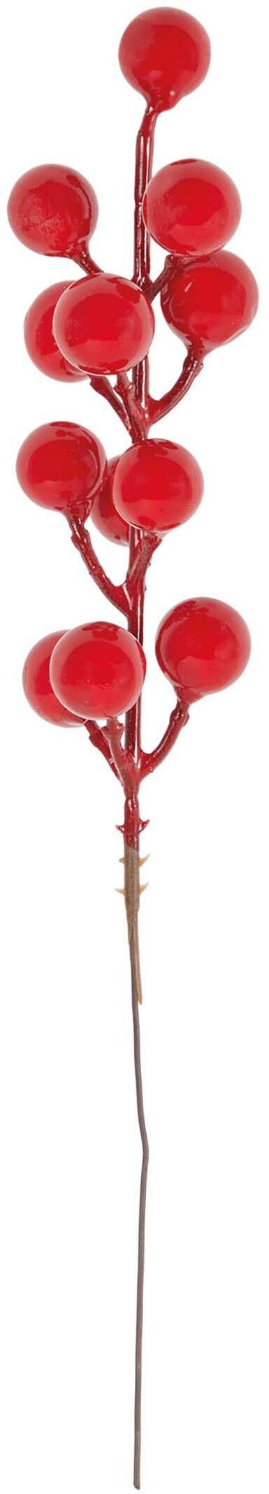 Box Rametti di Bacche Rosse