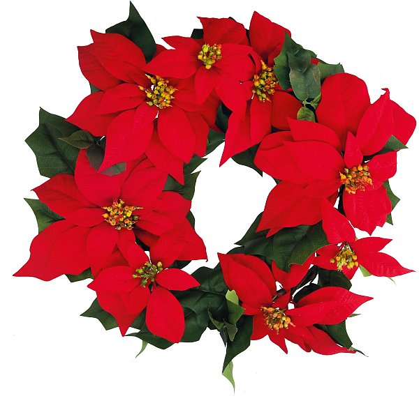 Corona con Stelle di Natale Rosse Velvet