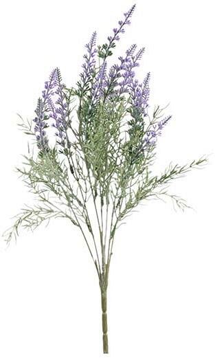 Bush di Lavanda