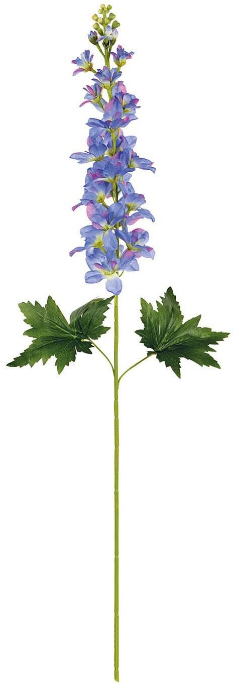 Ramo Delphinium