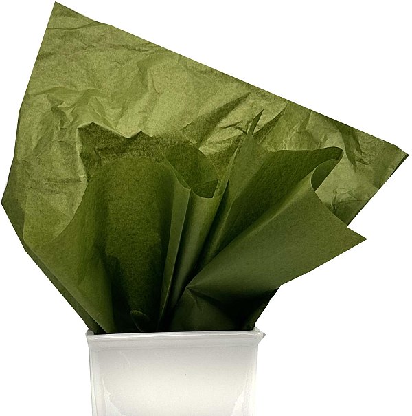 24 Fogli Carta Velina Colorata