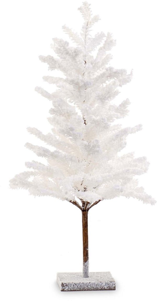 Albero Bianco
