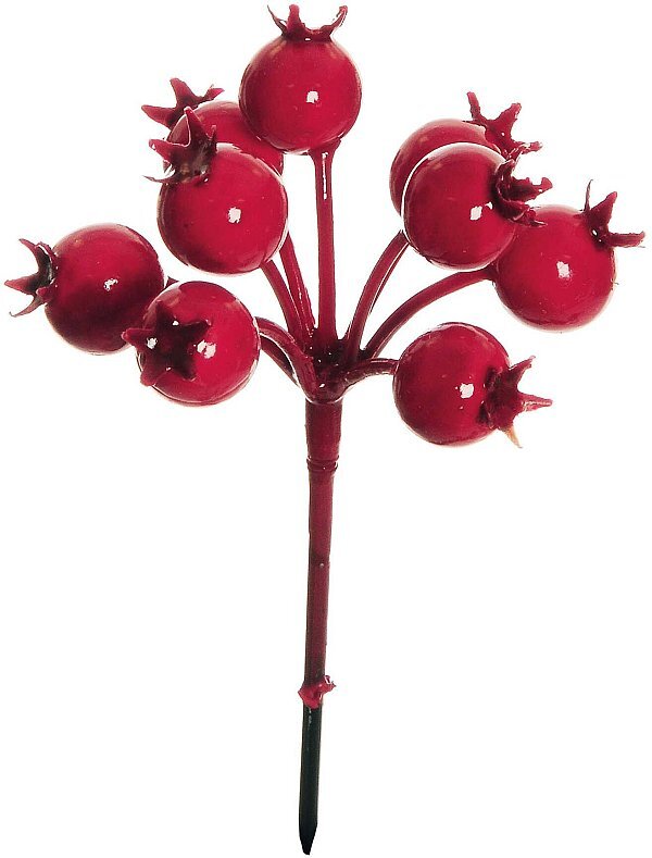 Pick Mini Rosa Canina Rosso