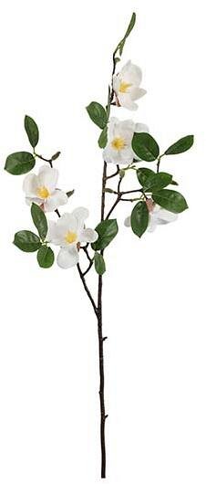 Ramo di Magnolia con 5 Fiori