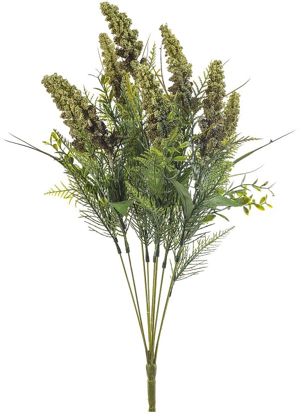 Bush 9 Rami Astilbe