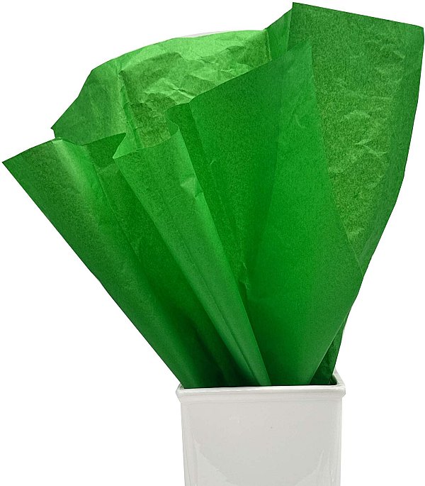24 Fogli Carta Velina Colorata