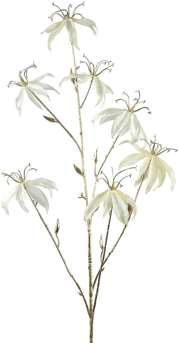 Ramo Gloriosa Crema